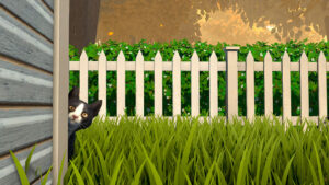 Copycat-image-1-300x169 Copycat image 1