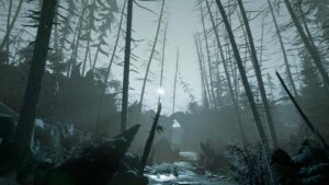  Two Falls dark forest