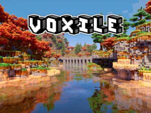 Voxile-300x225 Voxile